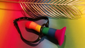 Bdsm toy review by tess: rimba mouthgag with o-ring