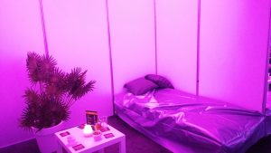 Kamasutra beurs 2019 | event review
