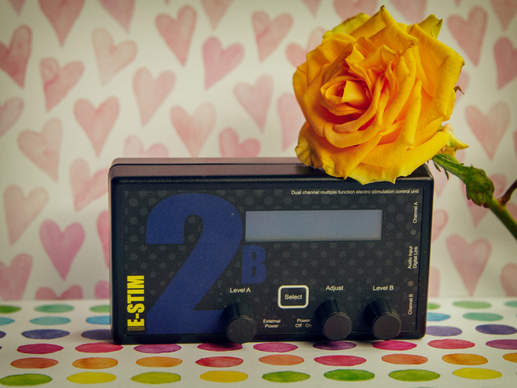 E-stim systems 2b e-stiom powerbox een heel uitbegreide powerbox voor mensen die beginners zijn maar ook ideaal is voor gevorderden