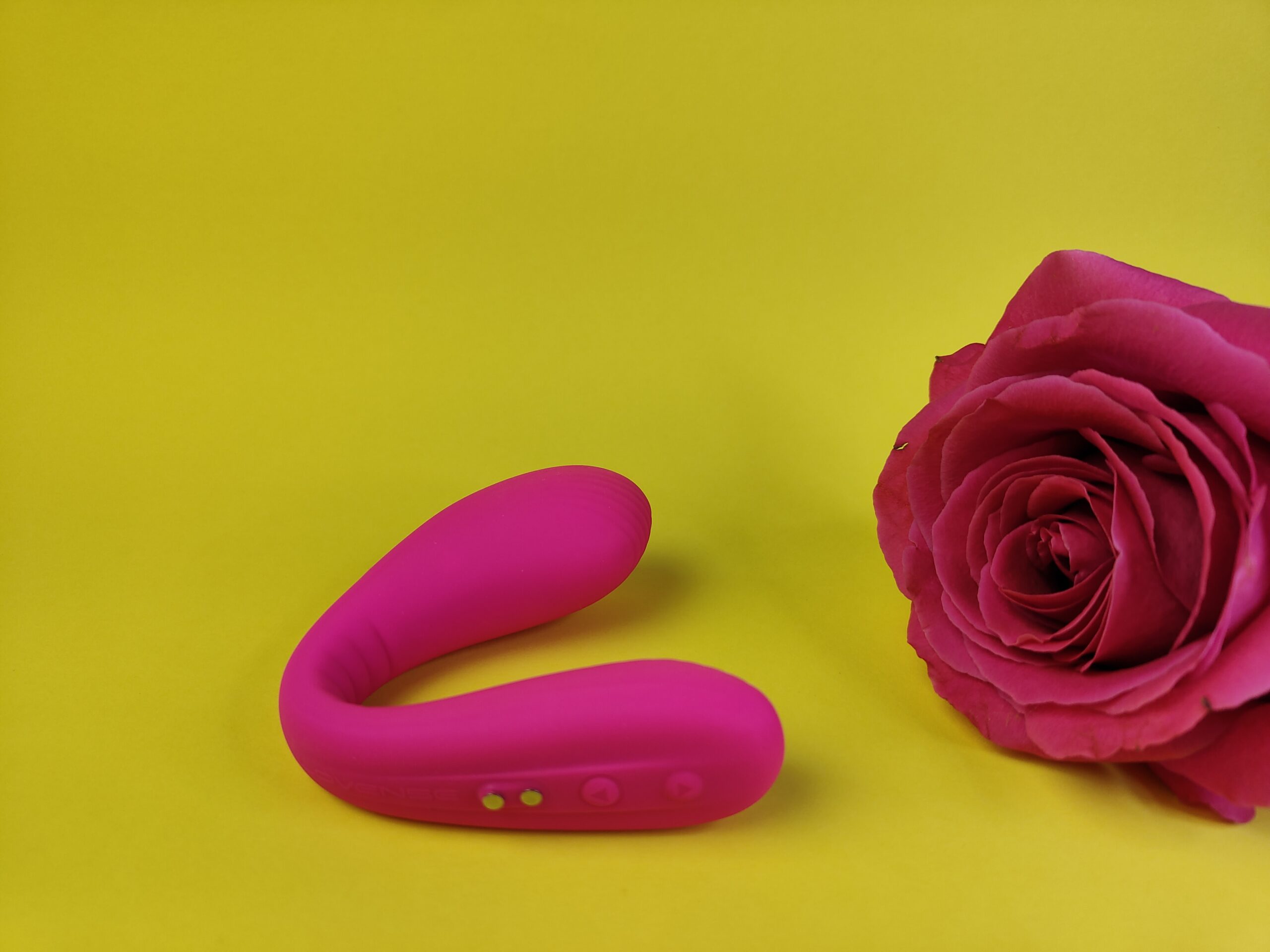 De Lovense Dolce ligt naast een grote roze roos