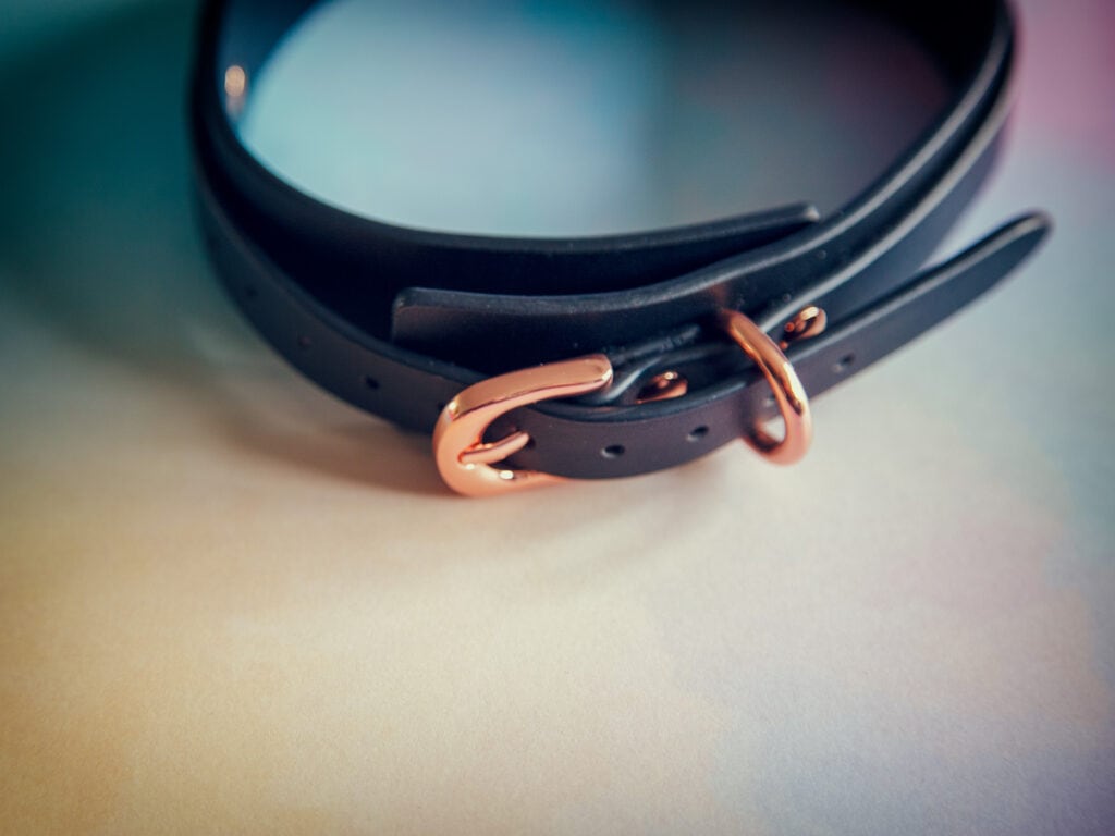 Meo bdsm collar and lead