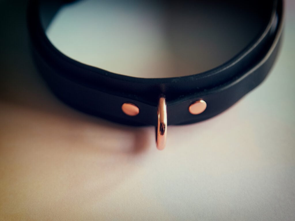 Meo bdsm collar and lead