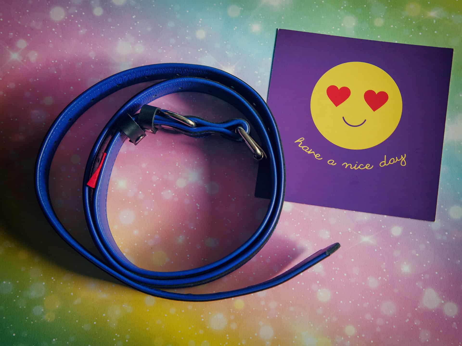 DeLuxe Bondage Restraint Straps review