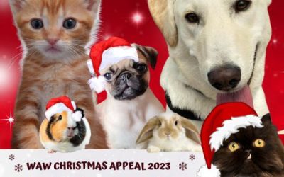 WAW Christmas Appeal 2023