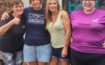 70 community cats in St Helens & Widnes neutered in one day