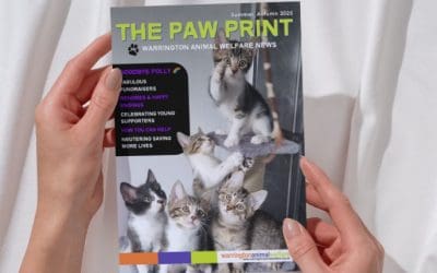 WAW Summer–Autumn 2025 newsletter – OUT NOW!