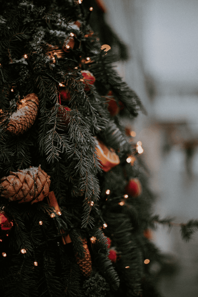 Rustic Christmas Tree Ideas For a Simple, Nature Inspired Holiday
