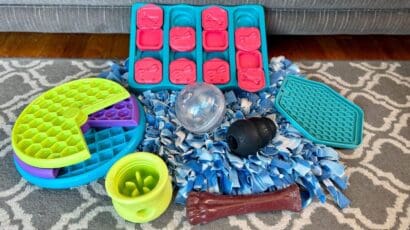 Our Favorite Canine Enrichment Toys Your Dog Will Love Our Favorite Canine Enrichment Toys Your Dog Will Love