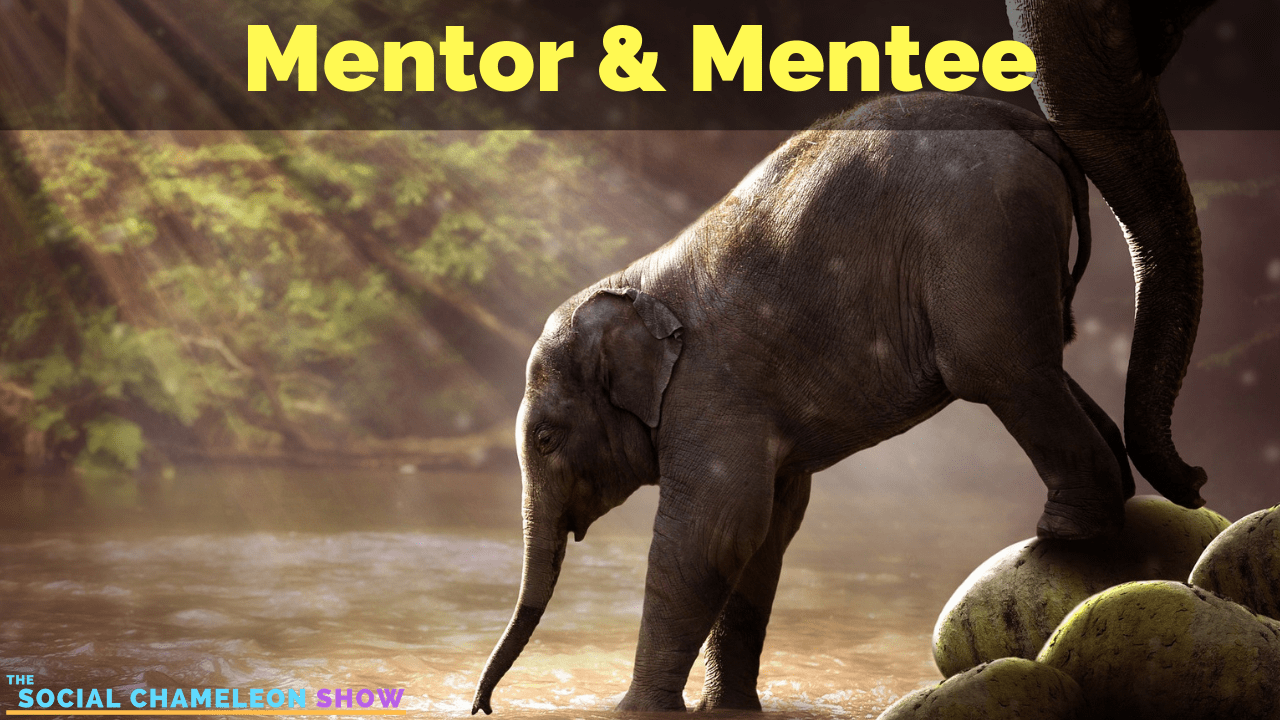 A young elephant, embodying the essence of being a mentee, is gently nudged down a rocky surface by an older mentor elephant in a sunlit forest setting. The text "Mentor & Mentee" appears at the top, with "The Social Chameleon Show" logo at the bottom left.