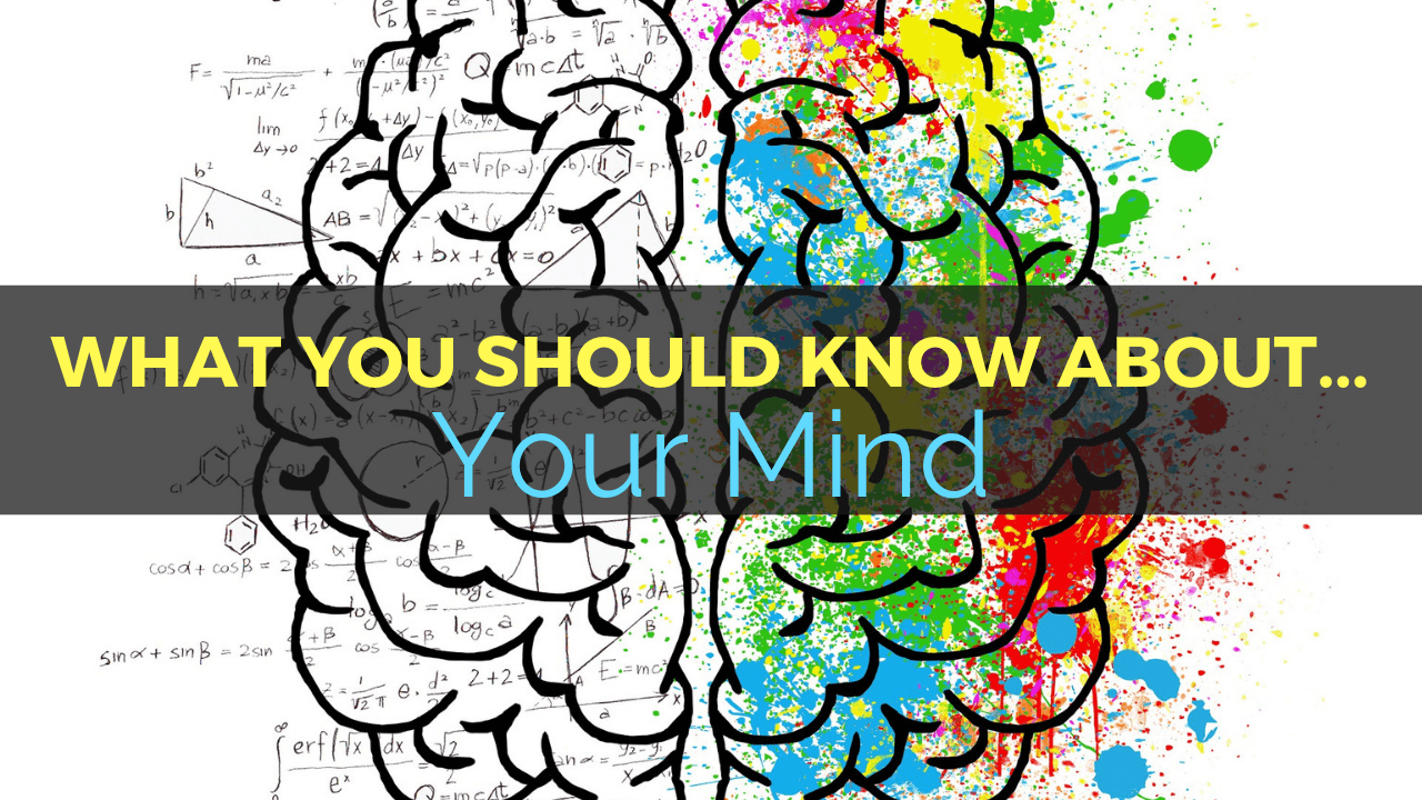 Graphic split into two sections with contrasting themes. The left shows black and white scientific formulas and equations; the right features colorful, abstract splatters. Centered text reads "What You Should Know About...
