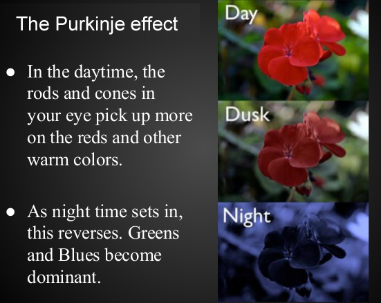 The Purkinje Effect: In the daytime, the rods and cones in your eye pick up more on the Reds and other warm colors. As Night time sets in, this reverses. Greens and Blues become dominant.
