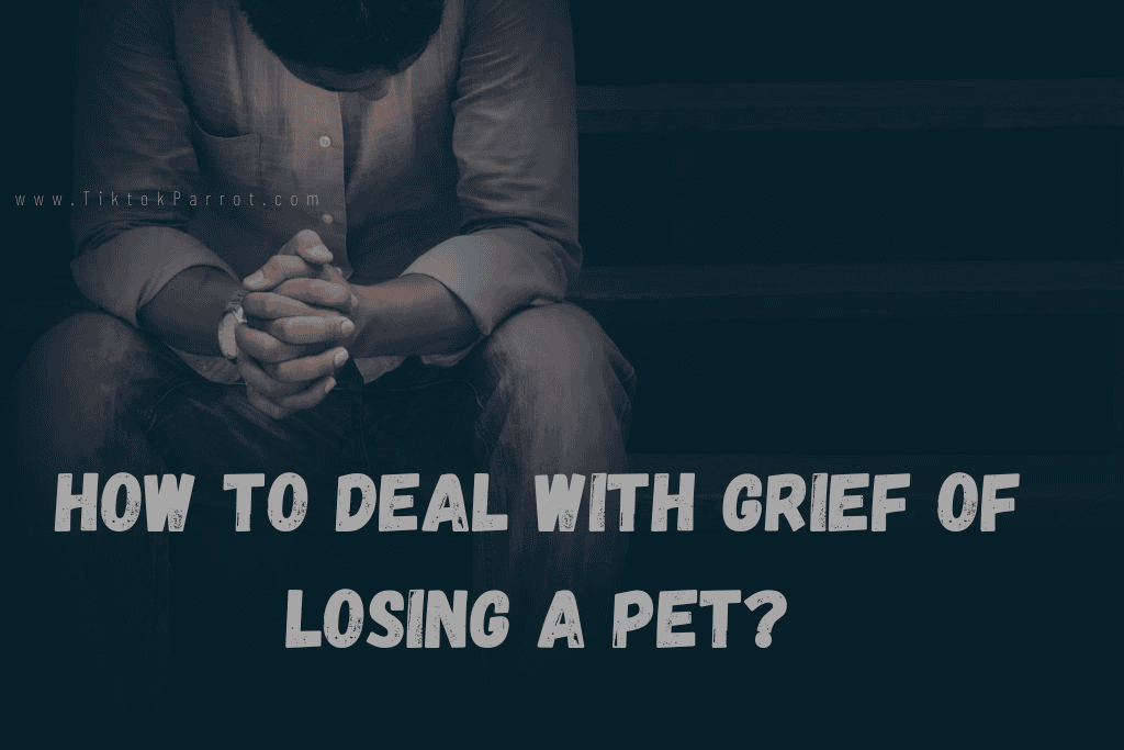 How to deal with grief of losing a pet?
