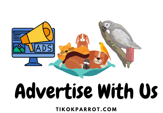 Advertise-With-Us-TiktokParrot-African-Grey-Website