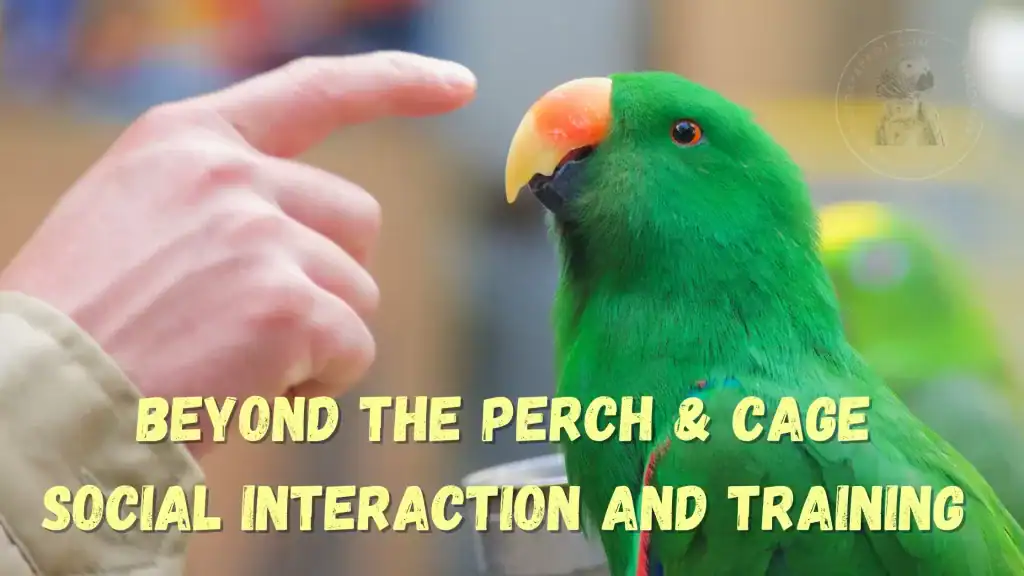 Beyond the Perch & Cage. Social Interaction and Training your parrot.