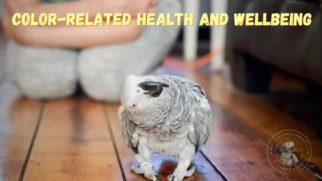 Color-Related Health and Wellbeing