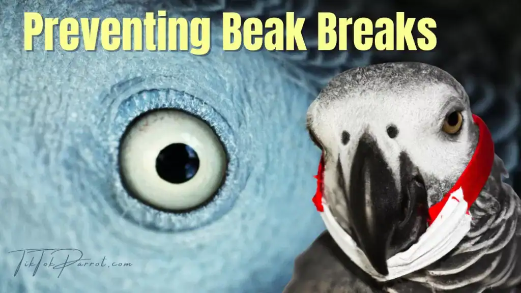 Preventing Parrot Beak Breaks