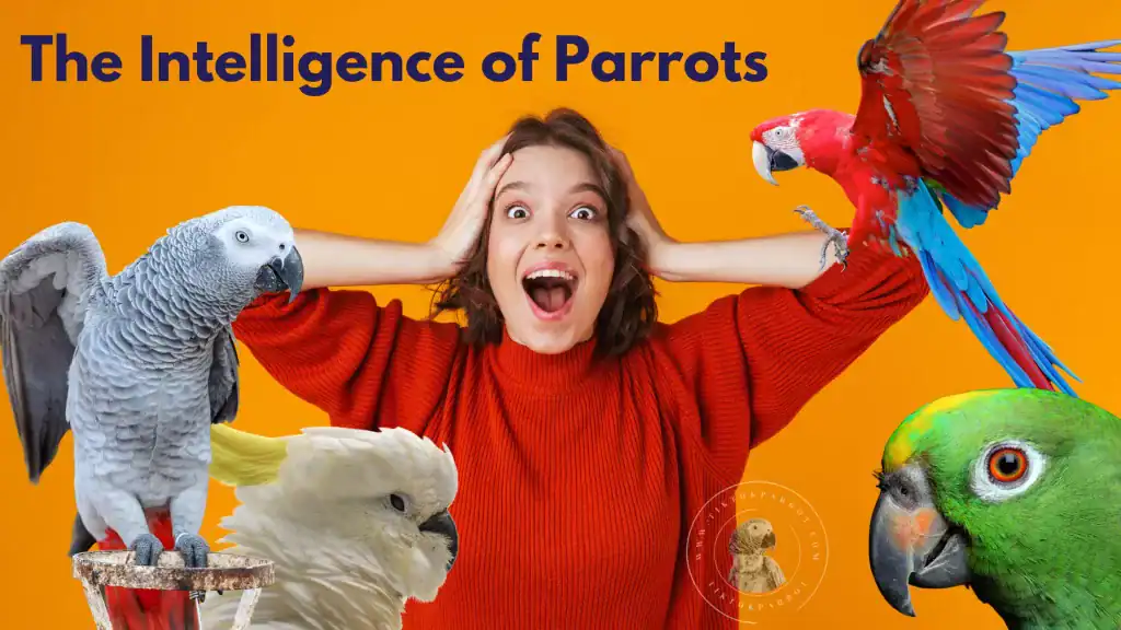 The Intelligence of Parrots