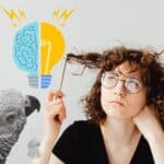 African Grey Parrot Brain Size