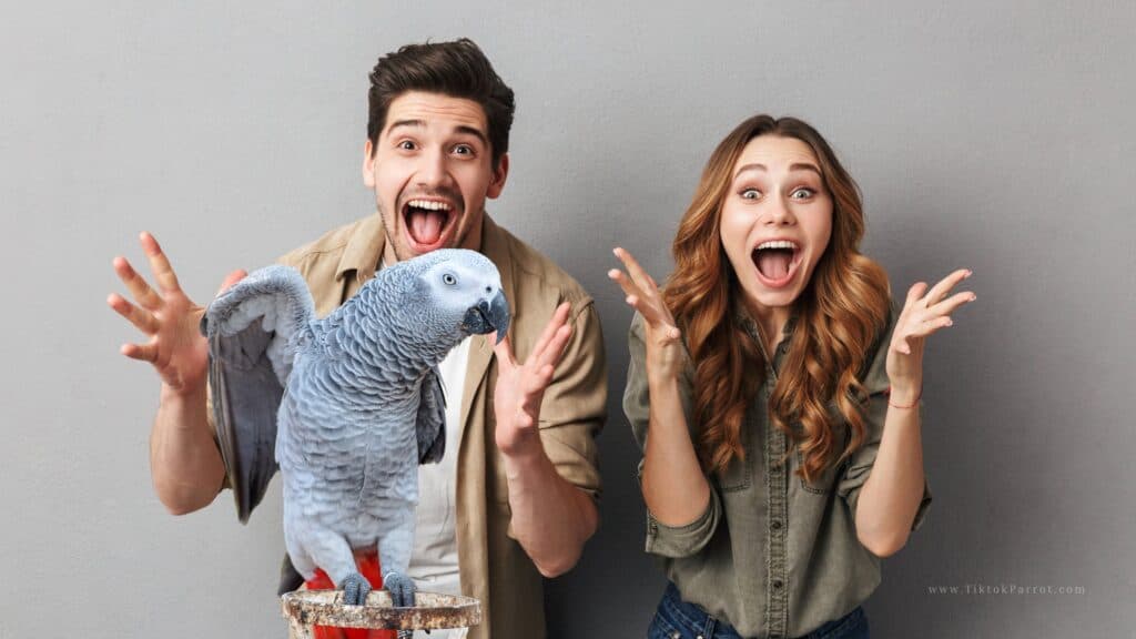 African Grey Bonding to One Person Can This Be Changed