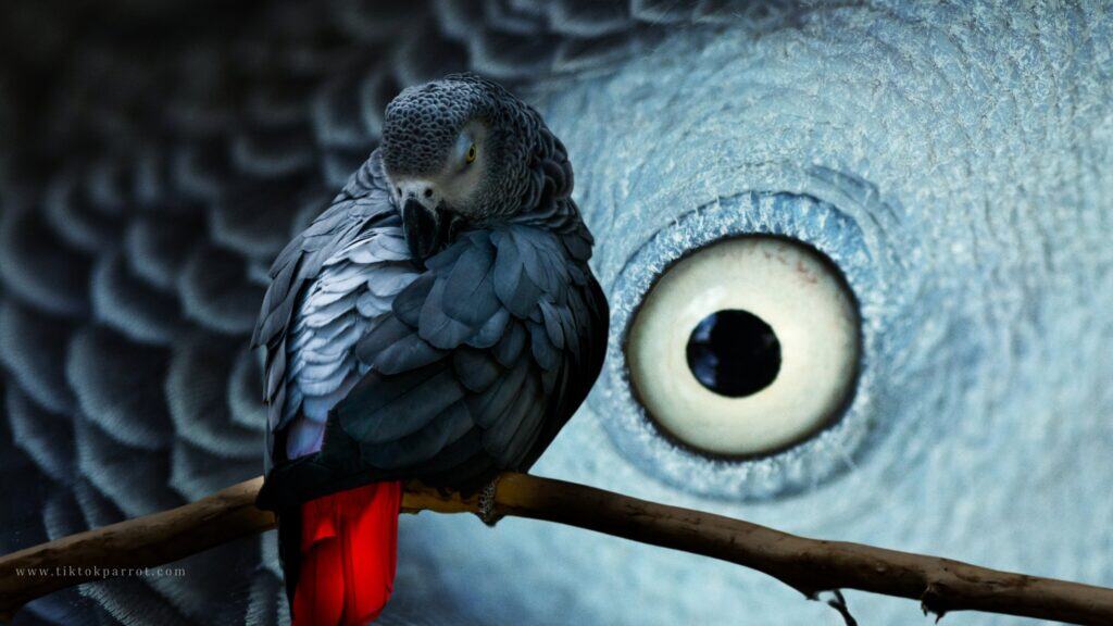 Behavior and Cognitive Abilities