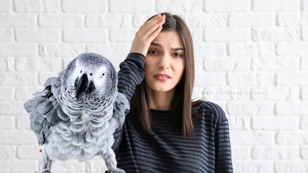 What is Parrot Diarrhea?