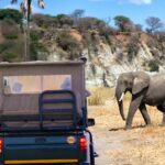 full day kruger safari