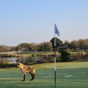 Skukuza golf club