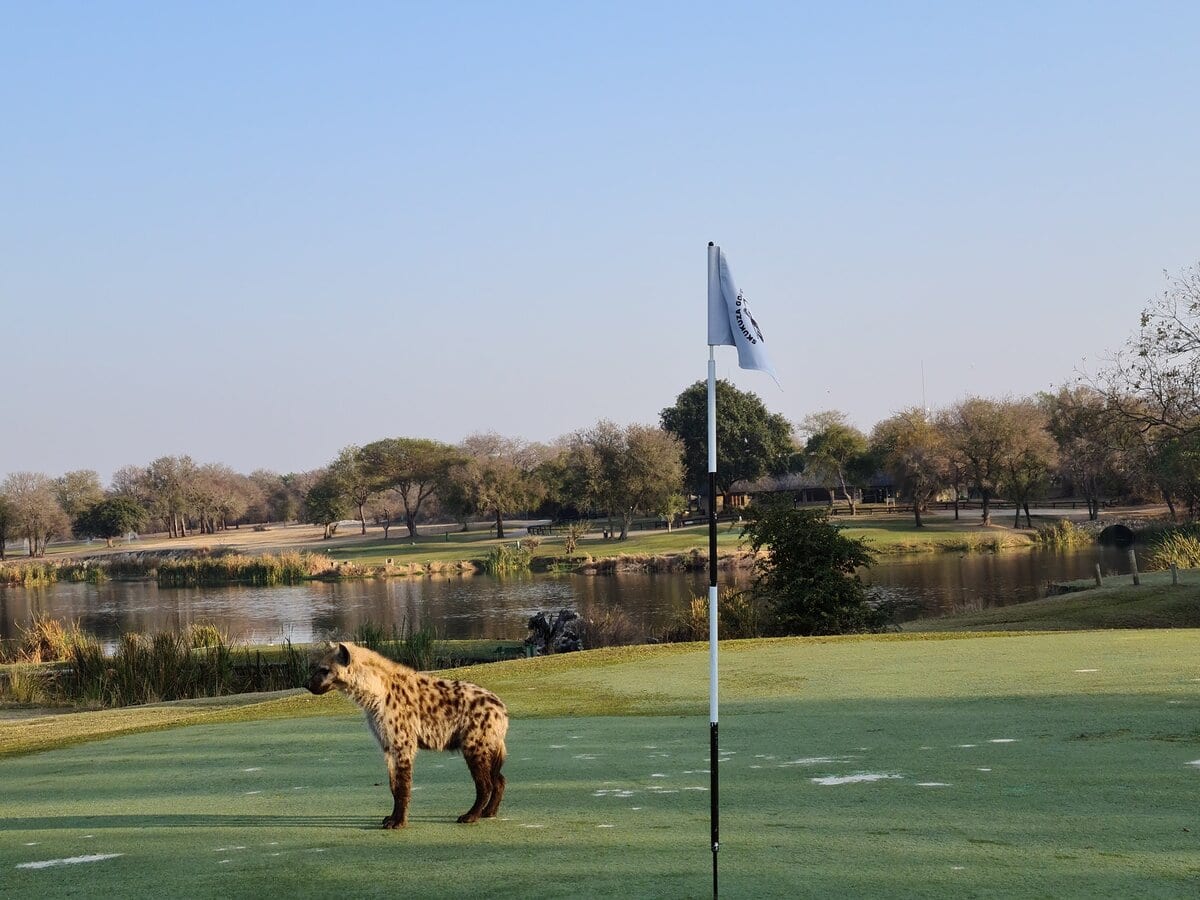 Skukuza golf club