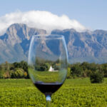 cape winelands