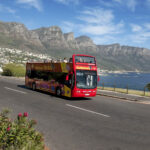 red bus cape town