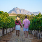 winelands cape day tour