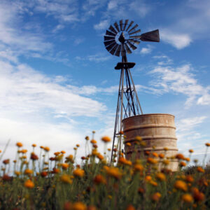 FREE STATE