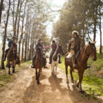 horse ride hermanus stanford