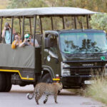 Kruger Park Safaris (11)