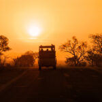Kruger Park Safaris (19)