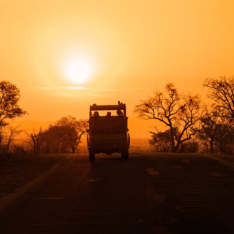 Kruger Park Safaris (19)