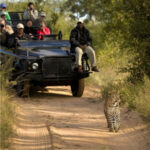 Kruger Park Safaris (20)