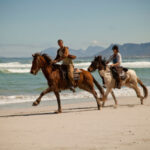 tours tickets south africa (36)