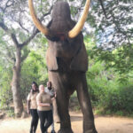 tours tickets south africa (56)