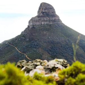 lion's head hike