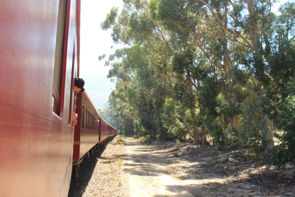 Steam Train Ride to Elgin