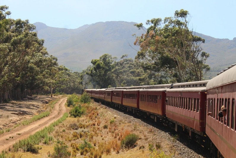 Steam Train en-route to Elgin Market