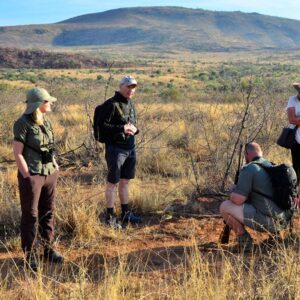 bush walk pilanesberg