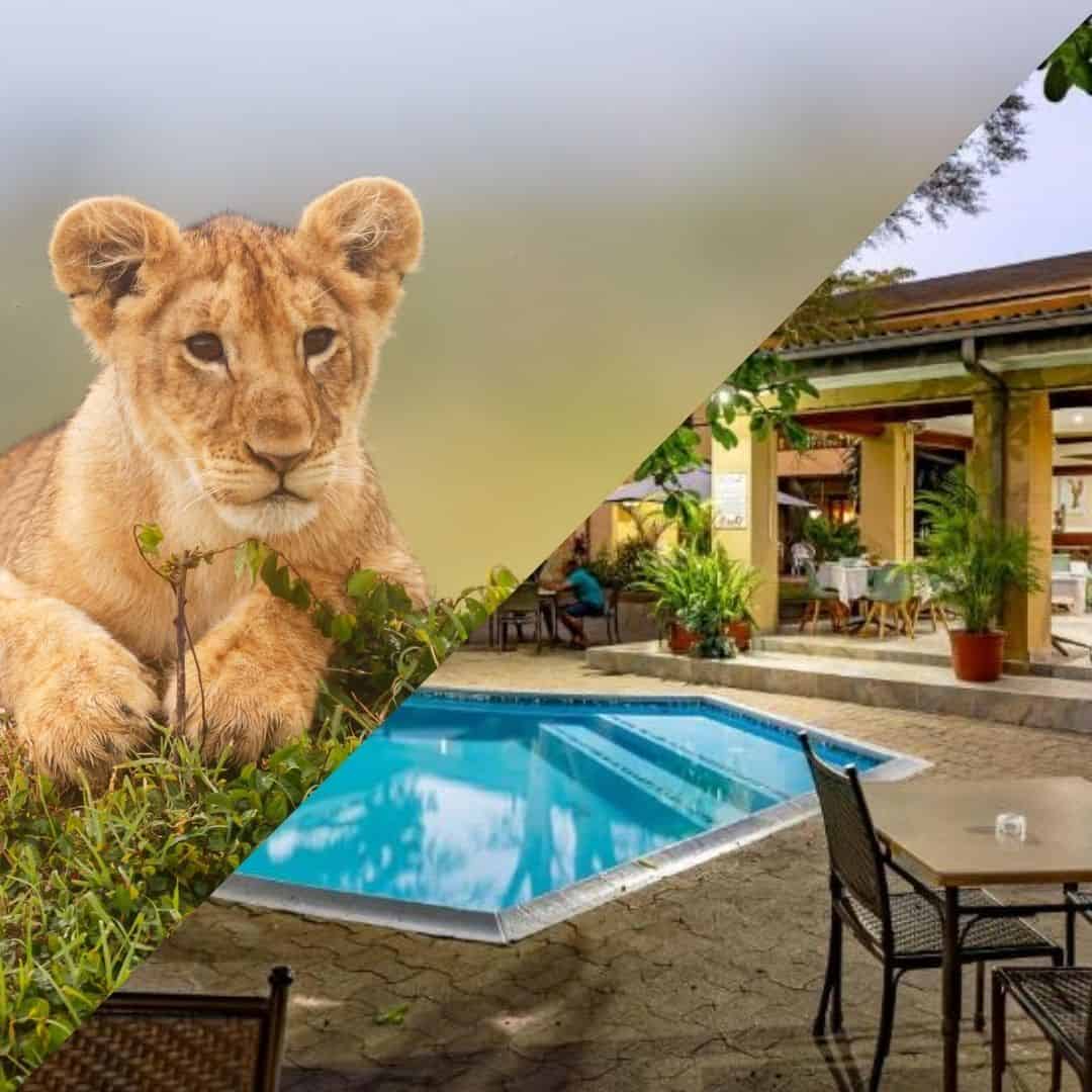 Accommodation and adventure safari packages