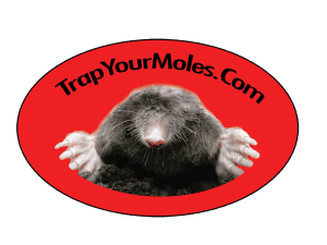 Trap Your Moles