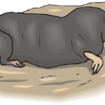 Ground moles