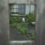 pexels ryutaro tsukata 5745668