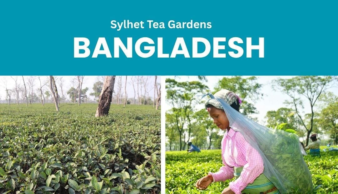 Discover the Top Places to Visit in Bangladesh: A Hidden Gem for Travelers