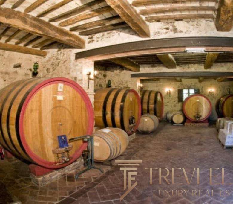 Бочковые винодельные бочки в винодельне, уютное помещение с деревянными потолками и каменной стеной. Элитное агентство недвижимости Треви Элит предлагает эксклюзивные предложения.