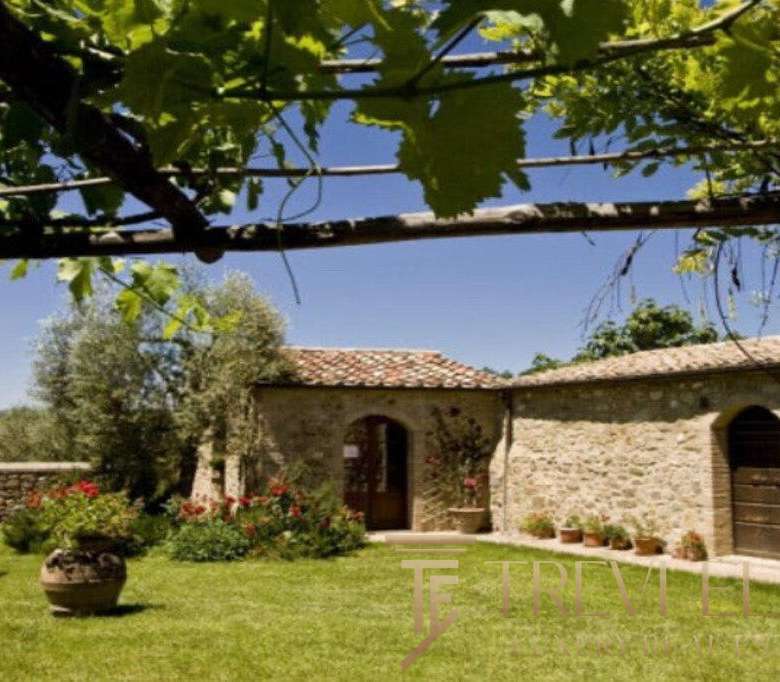 Уютный загородный дом в стиле итальянской архитектуры с каменной отделкой и зеленым садом на заднем дворе. Идеальное место для роскошной жизни и элитных инвестиций за границей.